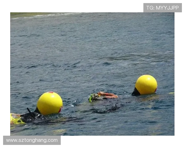 武汉滑板队的团队协作与默契提升探索之旅