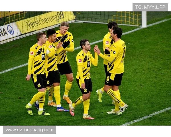 多特蒙德球迷暴力事件引发欧冠禁赛与巨额罚款震惊足球界