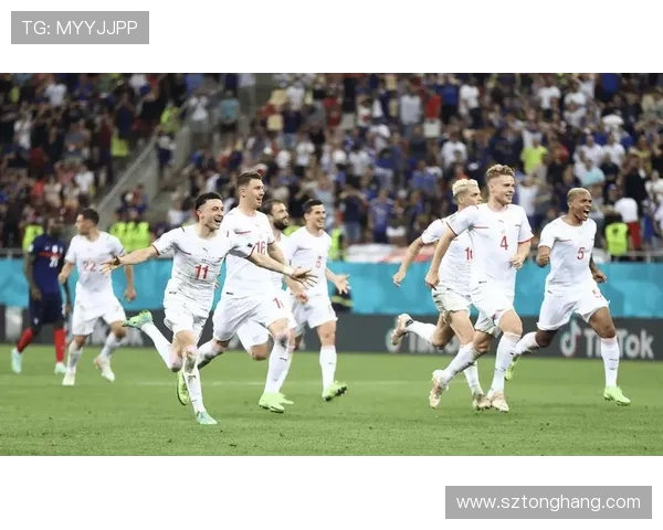 瑞典与瑞士比赛必发指数分析及投注策略探讨