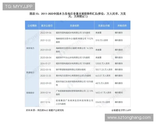 南京排球队在大师赛中的团队协作表现分析与启示 南京排球队在大师赛中的团队协作表现分析与启示