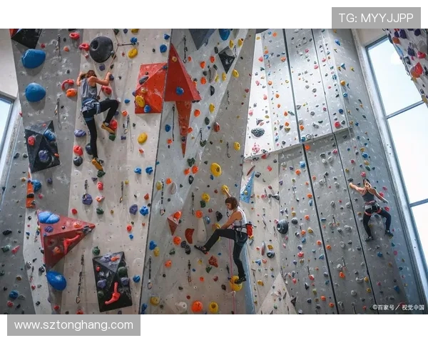 南京攀岩队在极限运动会中的速度表现分析与点评