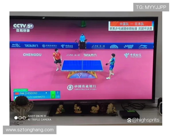 成都乒乓球队运营策略深度分析与发展前景展望